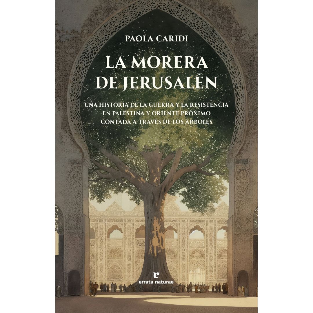 La morera de Jerusalén