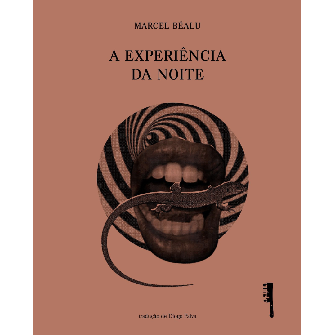 A experiência da noite