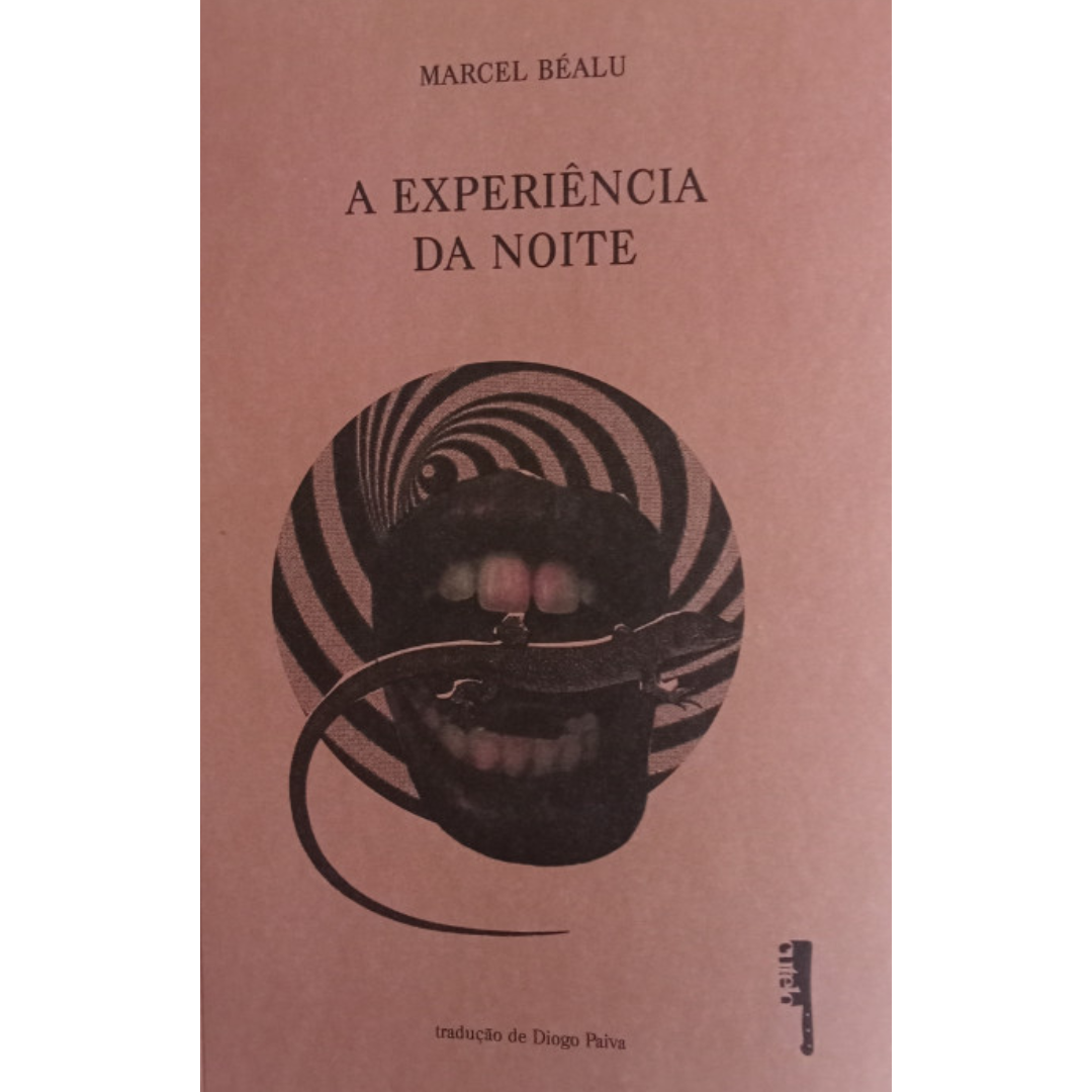 A experiência da noite